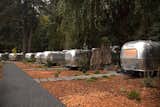 Dan Weber Architecture collaborated with Airstream USA to create the custom trailers at AutoCamp. The clear, non-tinted windows lend vintage charm and  illuminate the grounds as evening sets in.