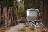 A thousand-year-old redwood stump abuts an Airstream suite.