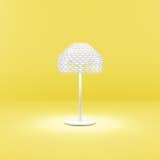  FLOS Tatou T Table Lamp