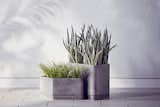 The Large and Small Hexagonal Concrete Planters are $89.99 and $69.99, respectively.  Photo 8 of 10 in The Dwell x Target Lookbook Reveals a Sleek New Collection for the Modern Home