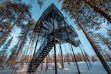 Go Stargazing in Snøhetta’s Towering Addition to Sweden’s Treehotel