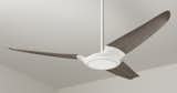 Here, the fan is shown in a three-blade configuration with a dark wood finish. Says Indio da Costa,