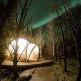 Outdoor, Trees, Woodland, and Wood Patio, Porch, Deck  Photo 6 of 6 in Sleep Under the Northern Lights in an Icelandic Bubble Hotel