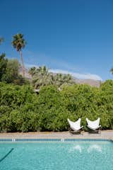 A Celebrated Palm Springs Hotel Asks $1.5M - Photo 7 of 11 - 