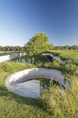 Outdoor, Grass, Trees, and Rooftop  Photos from Celebrated Polo Player Nacho Figueras Commissions a Low-Slung, Concrete Stable