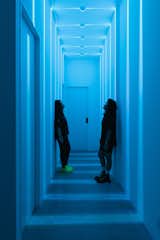 Strip lighting turns the hallway connecting the powder room, guest room and gym, and primary bedroom into an immersive, sensory experience.
