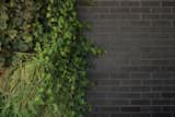 A lush green wall enlivens black Belden Brick walls of the Free Float Pool House by The UP Studio.