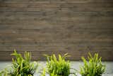 Outdoor, Shrubs, Side Yard, and Horizontal Fences, Wall  Photo 11 of 11 in Kūono at Volcano by groundSWELL partners