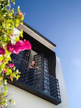 Black and white thrives in the strawberry (hot) pink of the bougainvillea bloom. The film director can throw open the French doors in the early morning, step out onto the balcony and call out his daily instructions to the passing birds and bees on the flowers.
© Justin Alexander

