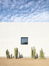 Cacti, house and sky  Photo 4 of 23 in Weave by The Ranch Mine