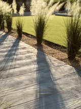 Board stamped concrete walkway