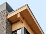 Roof and fireplace detail