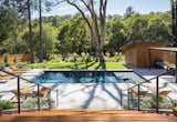 Pool and Yard