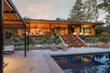 Pool and Rear Yard