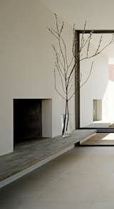  Photo 4 of 9 in AA - Fireplace Ideas by Atelier Armbruster