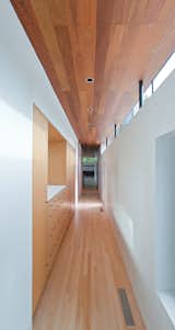 Hallway and Light Hardwood Floor  Photo 14 of 21 in House on the Park by buchanan architecture