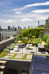 The new wooden rooftop terrace is surrounded by a green
roof garden utilizing reclaimed bluestone pavers and native plant species that require little water while insulating the environment below.