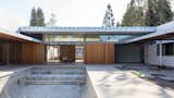 Rear Courtyard with pool