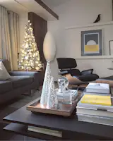 Here's the other twin. 