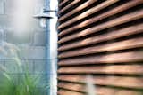 Brazilian wood screens provide privacy and filtered light into the architect's studio within.