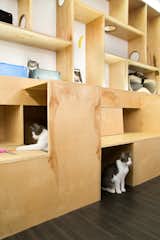 Just below the bench is much needed storage and also functions as a maze for the cats to sneak off for a catnap