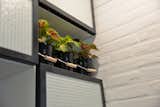 While the  intention was to have a very monochromatic and somewhat industrial look some potted Coleus plants were added to complement the wired glass.