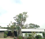 #pacificpalisades #fromthestreet #urbanhike #mcm #california #losangeles