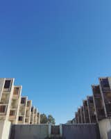 Symmetry abounds in this photogenic courtyard.

#salk #salksinstitute #lajolla #architecture 