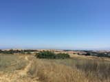 Arastradero Preserve