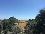 Off in the distance- the East Bay!  Photo 5 of 7 in Arastradero Preserve