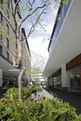 Nuevo Sur in México by Grow Arquitectos 