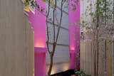 CD8 - Boué Arquitectos
