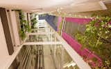 CD8 - Boué Arquitectos