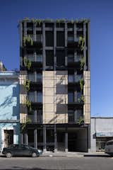 7 Sur - Puebla - Boué Arquitectos