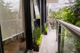 Choapan Decor - Erika Winters Design 