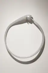 OUROBOROS, 2013
GLASS AND DEER ANTLER
20 X 20 X 2 INCHES