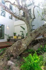Outdoor, Hanging Lighting, Shrubs, Wood Patio, Porch, Deck, Gardens, Metal Fences, Wall, Garden, and Trees Live Oak tree courtyard  Photo 9 of 27 in The Live Oak House by Mandy Cheng Design