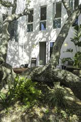 Outdoor, Wood Patio, Porch, Deck, Gardens, Shrubs, Metal Fences, Wall, Trees, Hanging Lighting, Garden, and Side Yard Live Oak tree courtyard  Photo 11 of 27 in The Live Oak House by Mandy Cheng Design