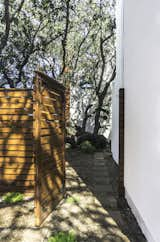 Live Oak tree courtyard entrance