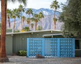 These things will grow anywhere...
Lace Legos in the Coachella Valley 12-2019