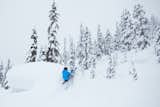 Northern Lights Optic × Alex Strohl - Photo 8 of 10 - 