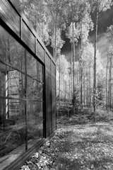 Exterior details reference the immense verticality of the aspen trees.  Photo 4 of 13 in Retreat in the Aspen Grove
