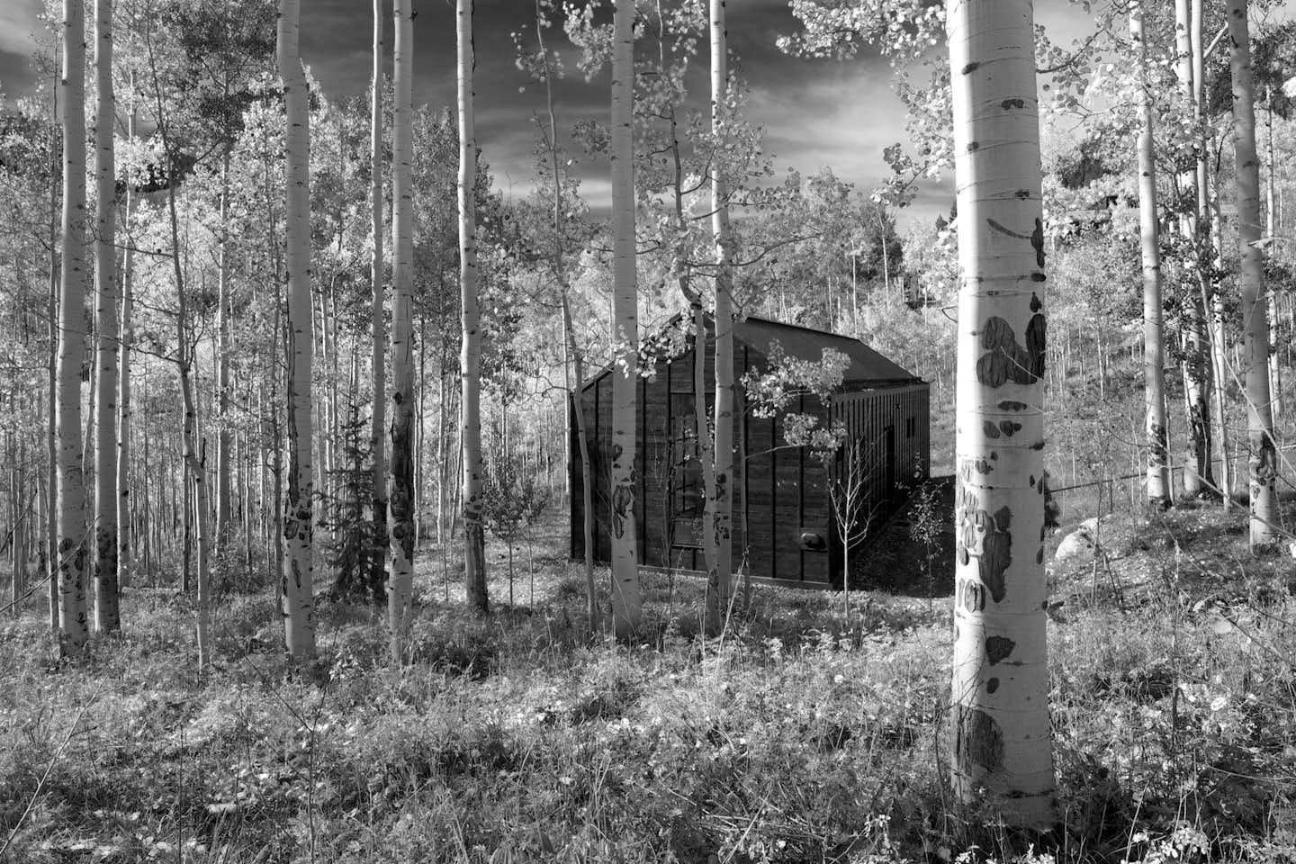 Photo 3 of 13 in Retreat in the Aspen Grove Dwell