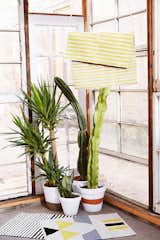 The Ojai in Hike

You could actually put this hand-woven Kilim anywhere in your house but it happens to be perfect for your bathroom. It’s 100% cotton, dries quickly and provides great texture to bare feet.