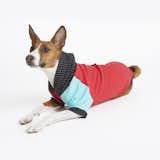 BAMBOO KNIT FLEECE HOODIE by Love Thy Beast, a Brooklyn-based Doggie-Designer Shop with a commitment to high style, american made, sustainable products