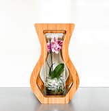 The curvy silhouette vase is designed as an elegant picture frame to dress up the often discarded glass vase that comes with store-bought flowers.