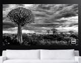 Namibia B&W Limited Edition from JoeySkibel.com  Photo 1 of 2 in Modern Design by Joey Skibel Photography/ Fine Art Prints