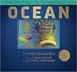 Ocean by Dan Kainen ($15)