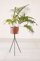 Urban Outfitters Tripod Plant Stand ($34)