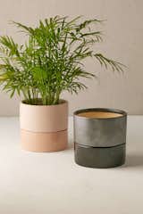 Urban Outfitters Madison 6-inch Planter ($24)